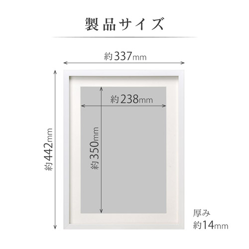 ホワイト　写真額縁 FUJIFILM お取り寄せ 肖像額 Lサイズ 額縁 フォトフレーム 無