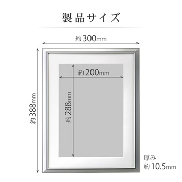 製品サイズ