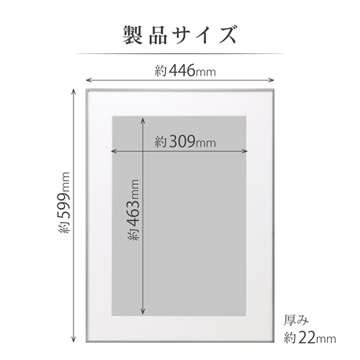 製品サイズ